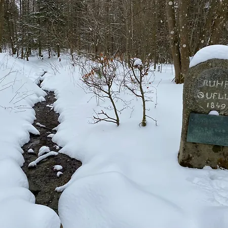 Unterm Dumel In Apartment Winterberg