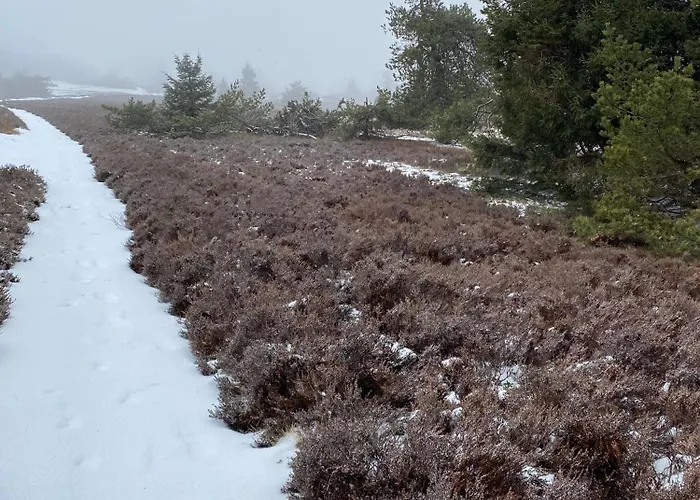 Apartment Unterm Dumel In Winterberg