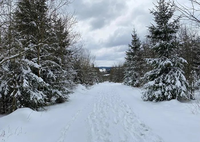 Apartment Unterm Dumel In Winterberg
